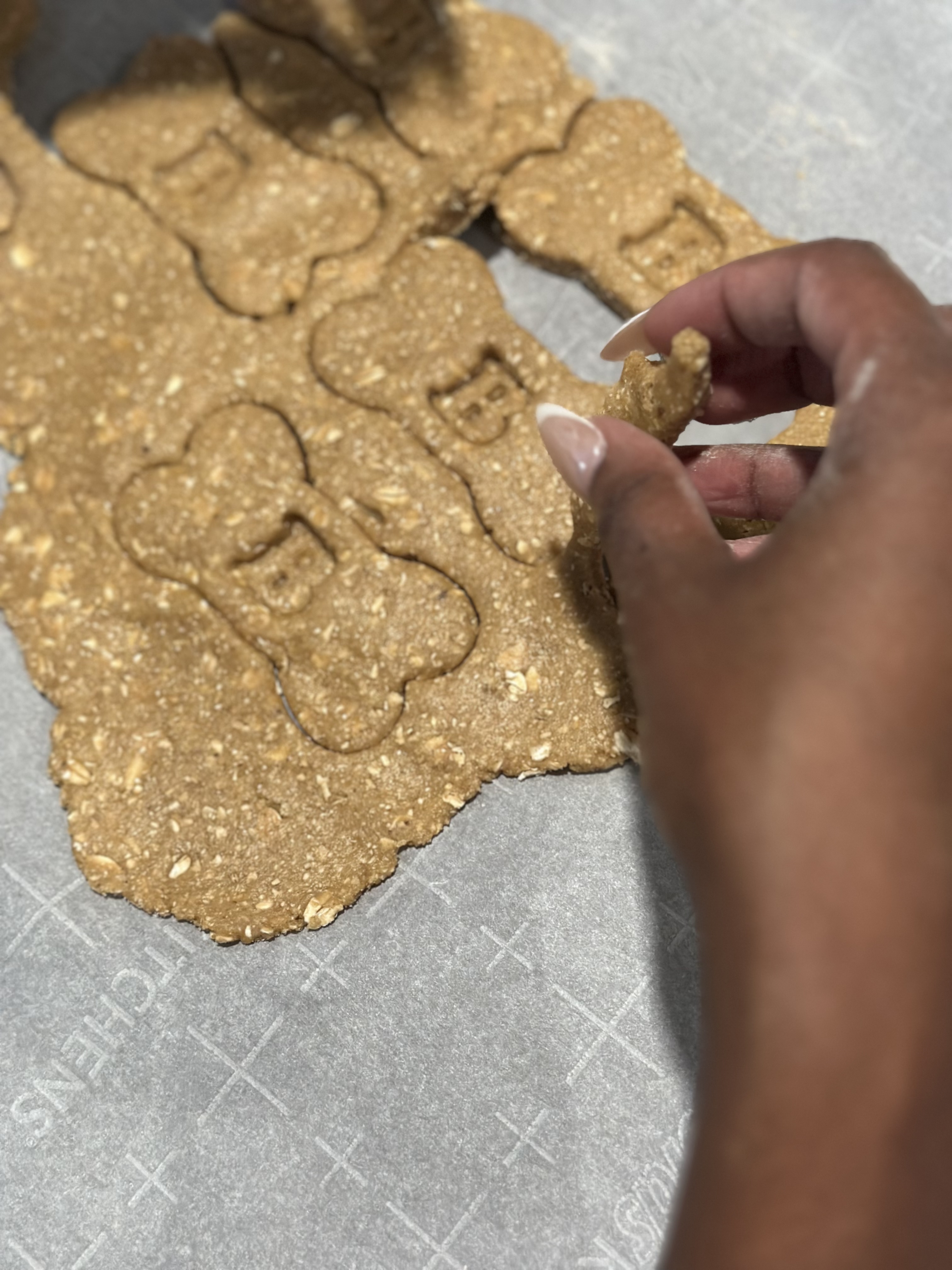 Handcrafting artisan dog treats